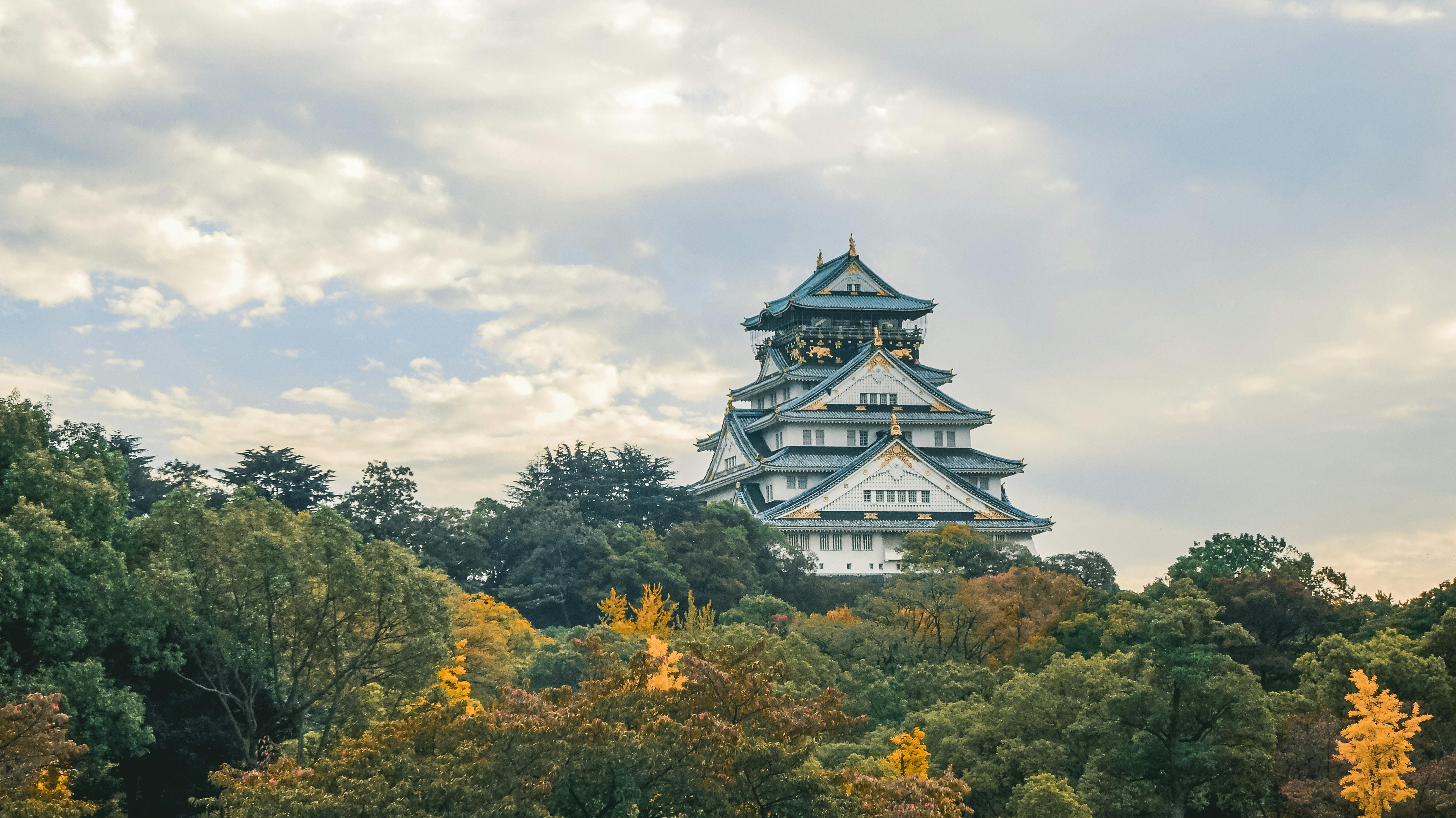 Castelo de Osaka ao fundo de uma floresta.