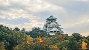 Castelo de Osaka ao fundo de uma floresta.
