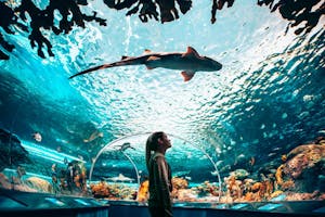 Ripley's Aquarium, Toronto.