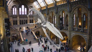 Museu da História Natural de Londres